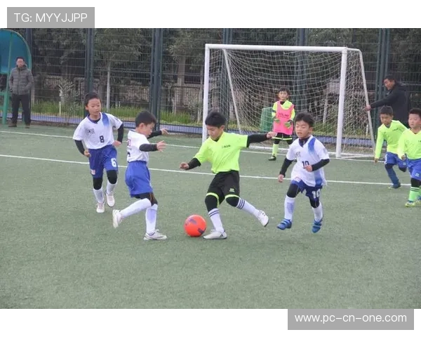 足球星联：聚焦全球足球精英，打造新时代球员竞技与合作平台